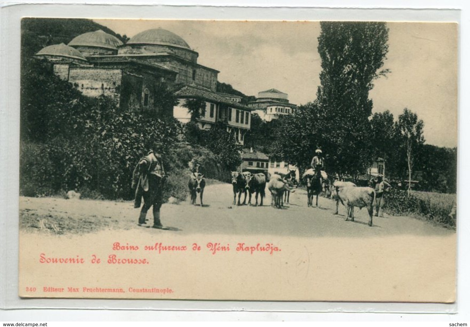 TURQUIE Souvenir De BROUSSE BURSA Bains Sulfureux De Yéni Kapudja Paysans Et Vaches Sur Route No 340 Edit M    D13 2019 - Turquie