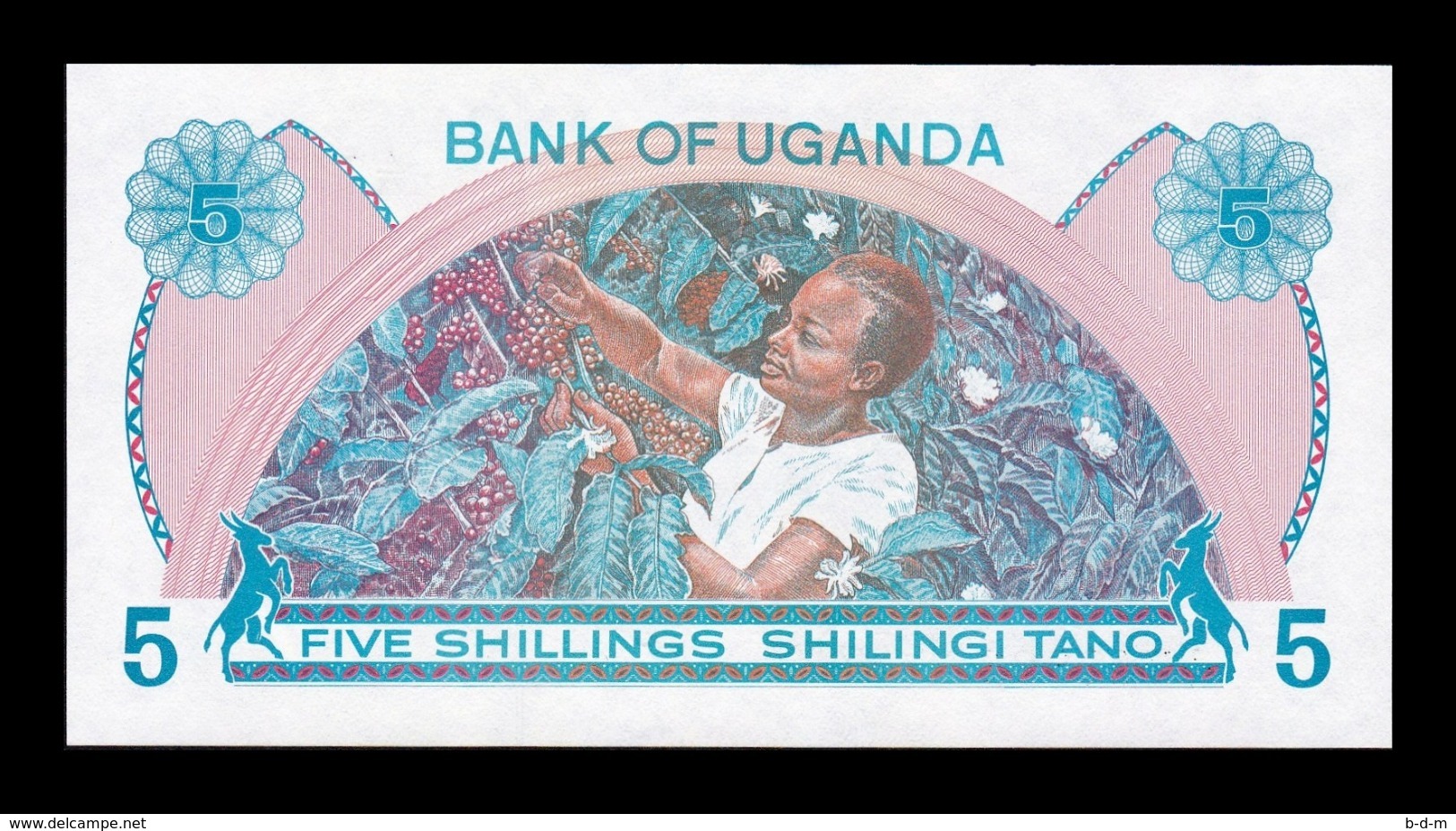 Uganda 5 Shillings 1979 Pick 10 SC UNC - Uganda