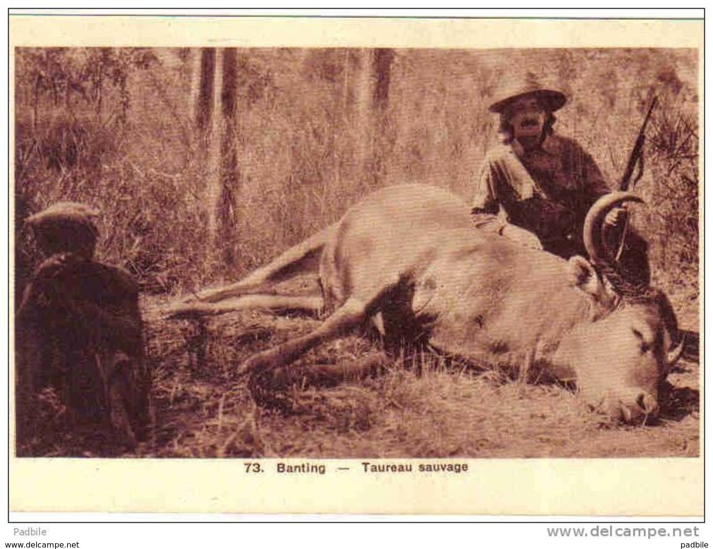 Carte Postale Saigon La Chasse En Indochine  Mort D'un Taureau Sauvage Trés Beau Plan - Viêt-Nam