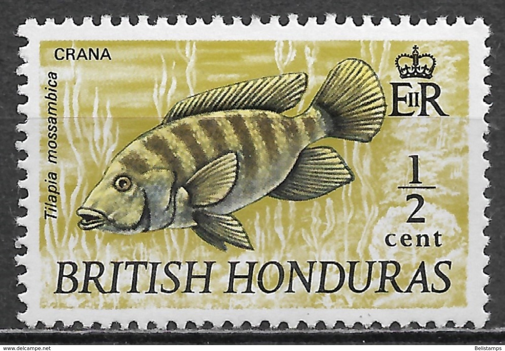 British Honduras 1969. Scott #234 (MNH) Crana, Fish - Brits-Honduras (...-1970)