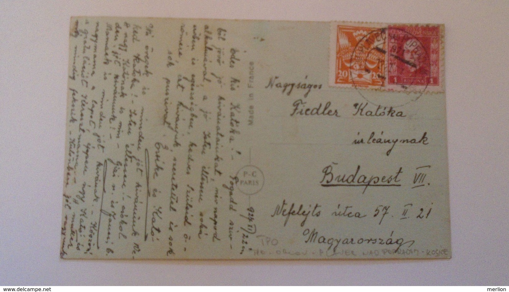 D168192 Czechoslovakia  Postcard Dog Chien   - TPO -Railway Post  BAHNPOST - Orlov-Plaveč Nad Popradom-Kosice Ca 1927 - Briefe U. Dokumente