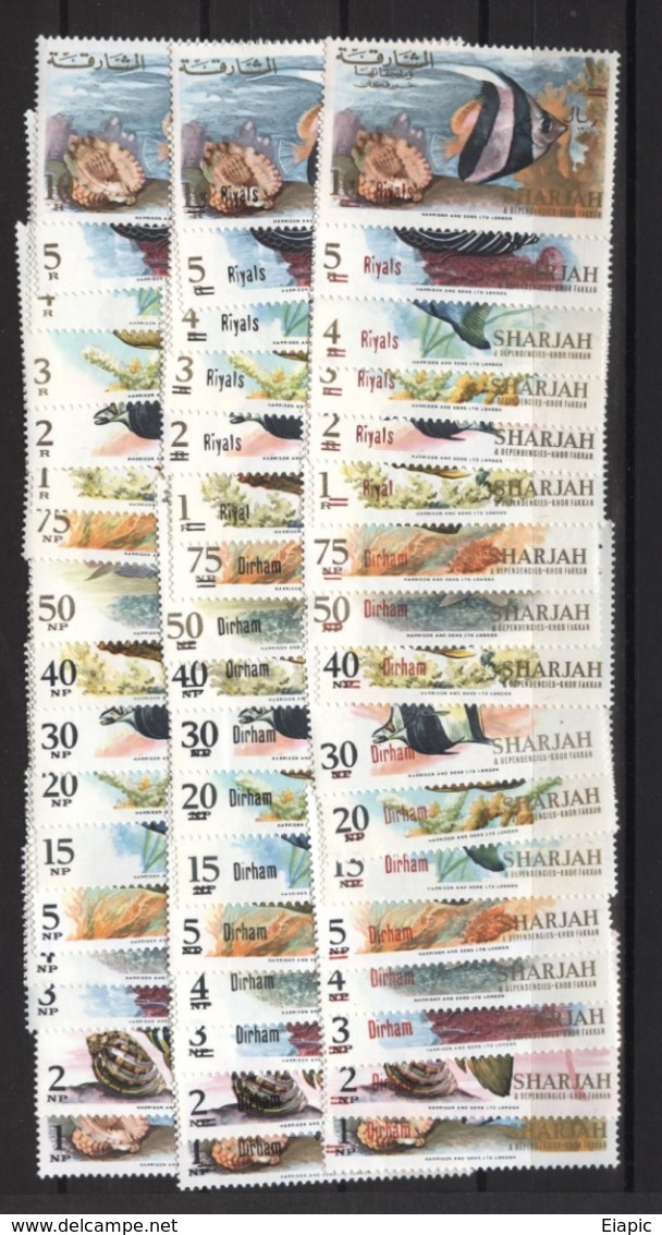 1966  SHARJAH  FISHES MNH Complete Set 17 Values + Same Red OVPT + Same Black OVPT - Difficult To Find - Arabia Saudita