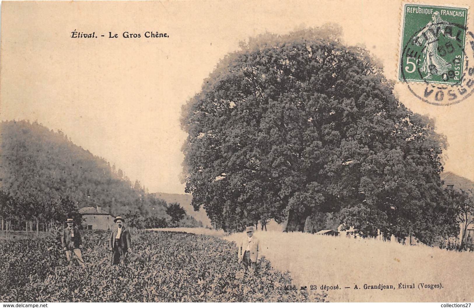 88-ETIVAL- LE GROS CHÊNE - Etival Clairefontaine