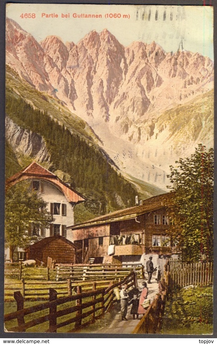 SWITZERLAND - GUTTANNEN - Rural Househo Pig - 1923 - Guttannen