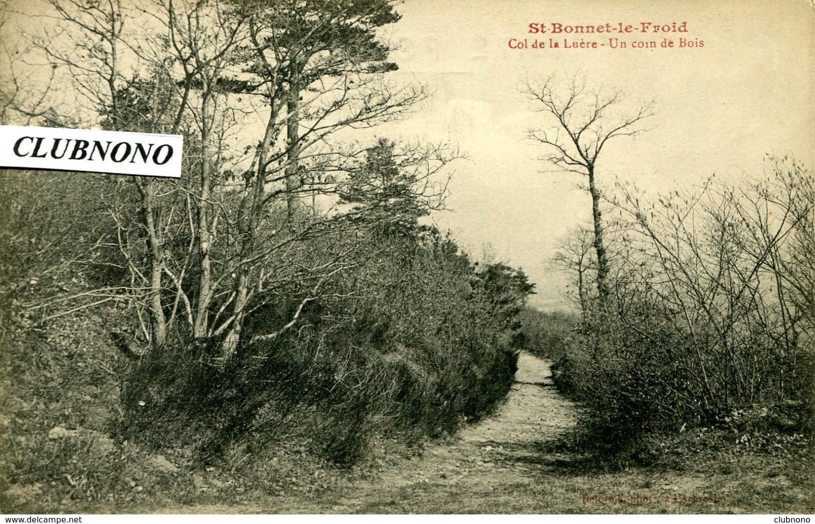 CPA -  SAINT-BONNET-LE-FROID - COL DE LA LUERE - UN COIN DU BOIS - Otros & Sin Clasificación