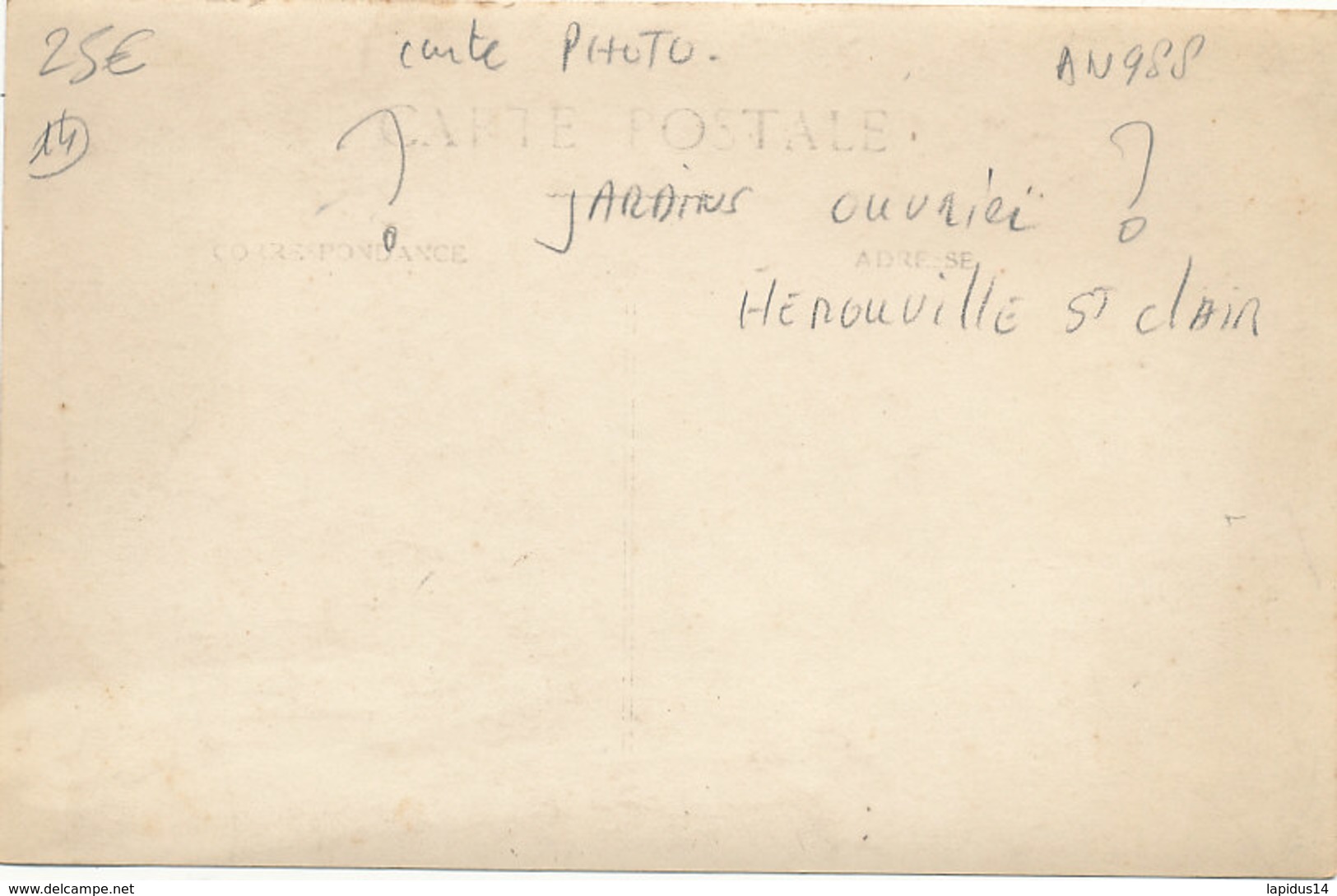 AN 988 /  CARTE PHOTO   NON SITUEE   JARDIN OUVRIER - A Identifier