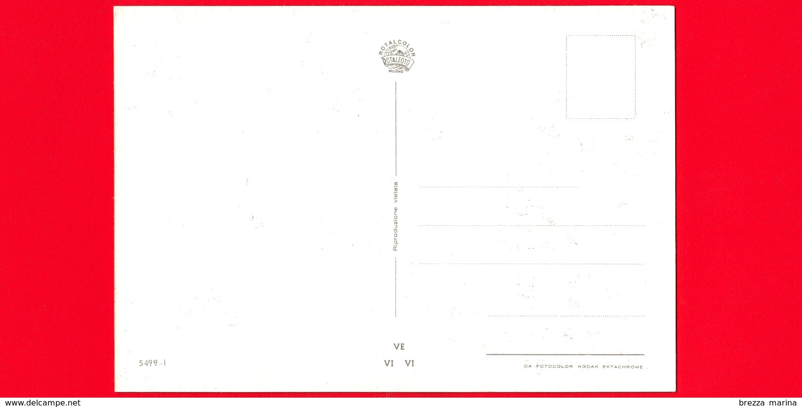 CARTOLINA – ITALIA - Toscana - Focette - Pietrasanta (Lucca) - Vedute - Saluti - Altri & Non Classificati