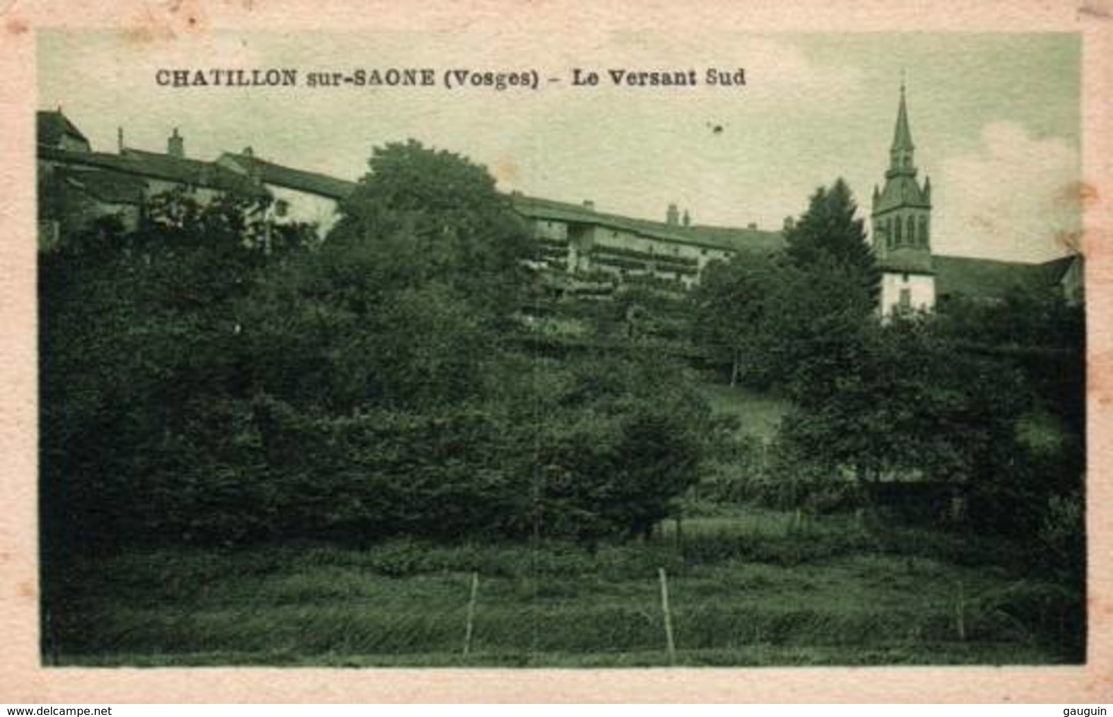 CPA - CHATILLON S/SAONE - LE VERSANT SUD ... - Other & Unclassified