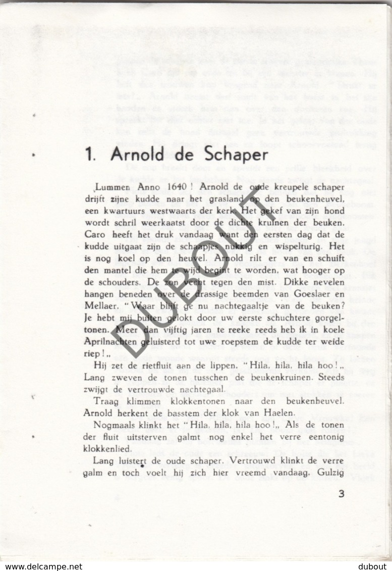 Fotokopie: Onze Lieve Vrouw Van Den Beukeboom 1941 (R194) - Oud