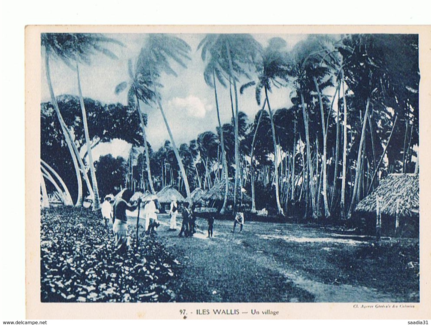 ILES DE WALLIS Un Village  Maxi Carte  240x180     Mx38 - Wallis E Futuna