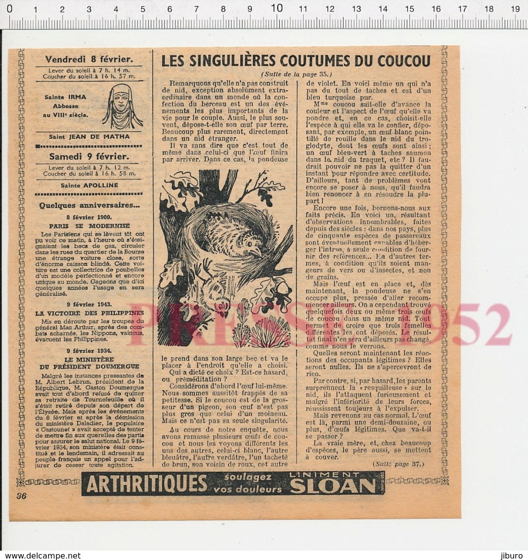 4 Scans Presse 1952 Oiseau Coucou Nid Ornithologie Monsieur Dort Bordeaux Chasse Léopard Rhodésie Bechuanaland 226CH12 - Non Classés