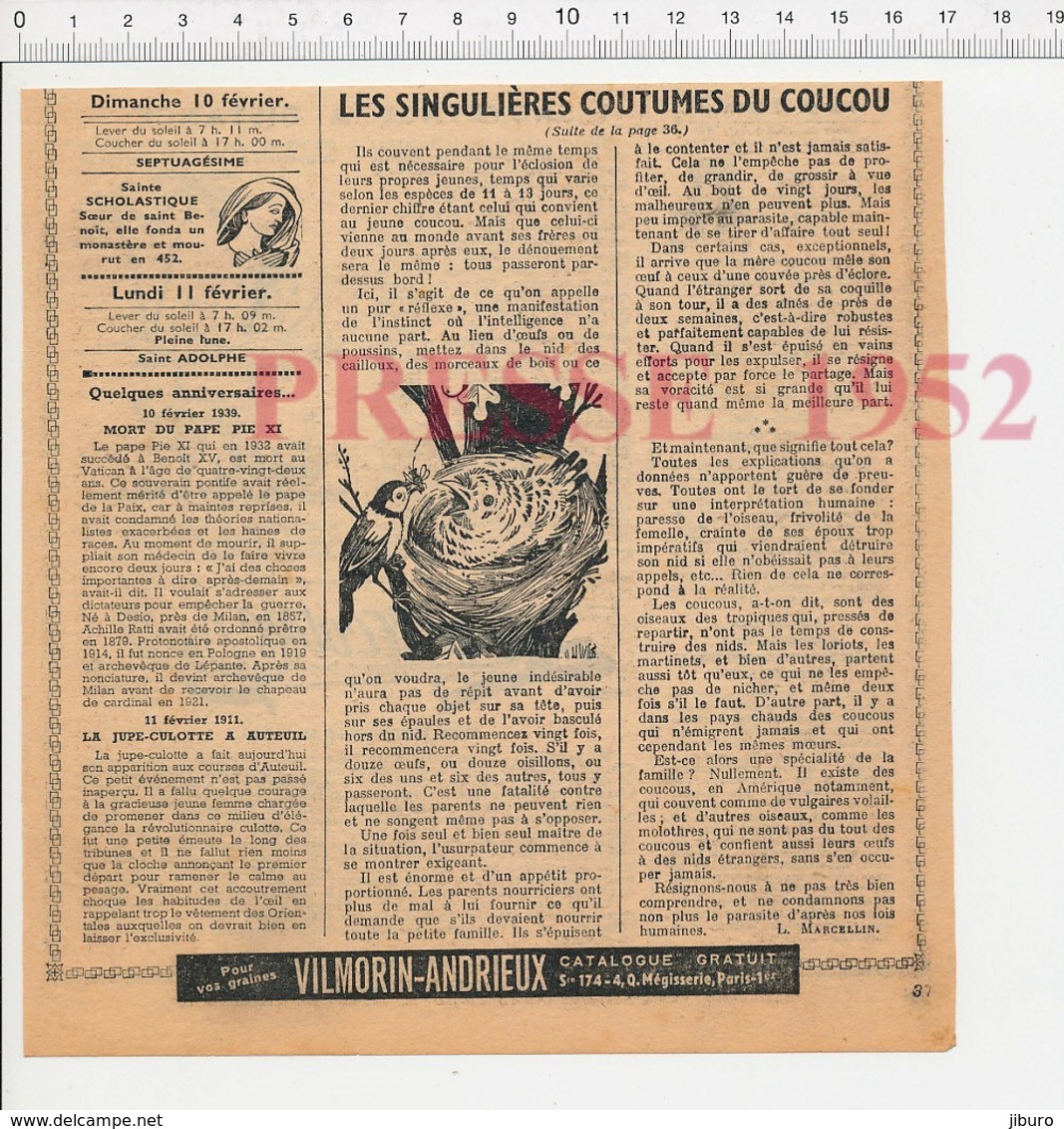 4 Scans Presse 1952 Oiseau Coucou Nid Ornithologie Monsieur Dort Bordeaux Chasse Léopard Rhodésie Bechuanaland 226CH12 - Non Classés