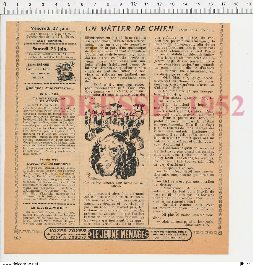 3 Scans Presse 1952 Ruffey Jura Attelage De Chiens Chien Laitier Transport Du Lait  226CH12 - Ohne Zuordnung