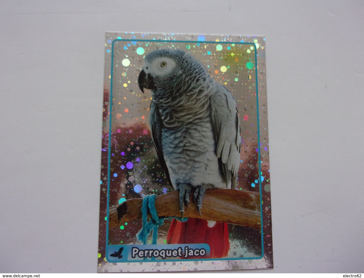 PANINI ANIMAL WORLD Animaux N°063 Perroquet Jaco Parrot Papagei Loro Papagaio Papegaai Papegøye - Edition Française