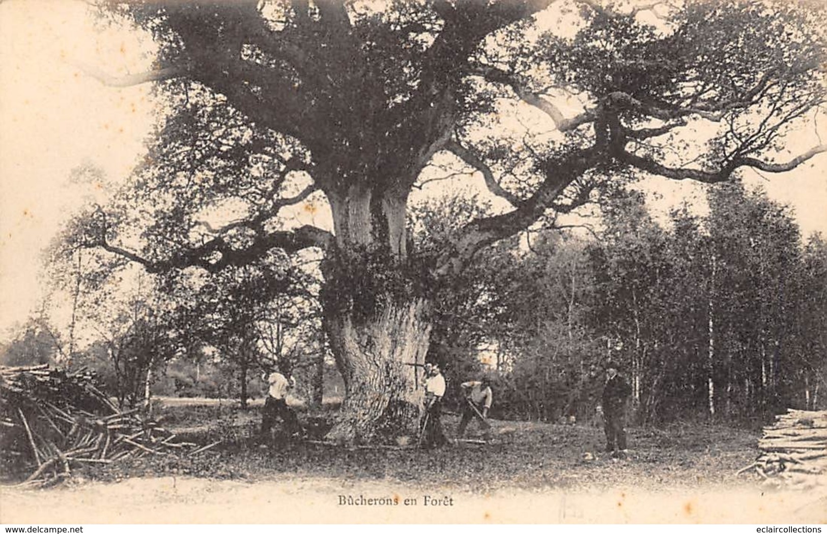 Thème.  Métiers Divers: Bois     Localisée A   95   St Leu La Forêt   Bûcherons En Forêt    (Voir Scan) - Other & Unclassified