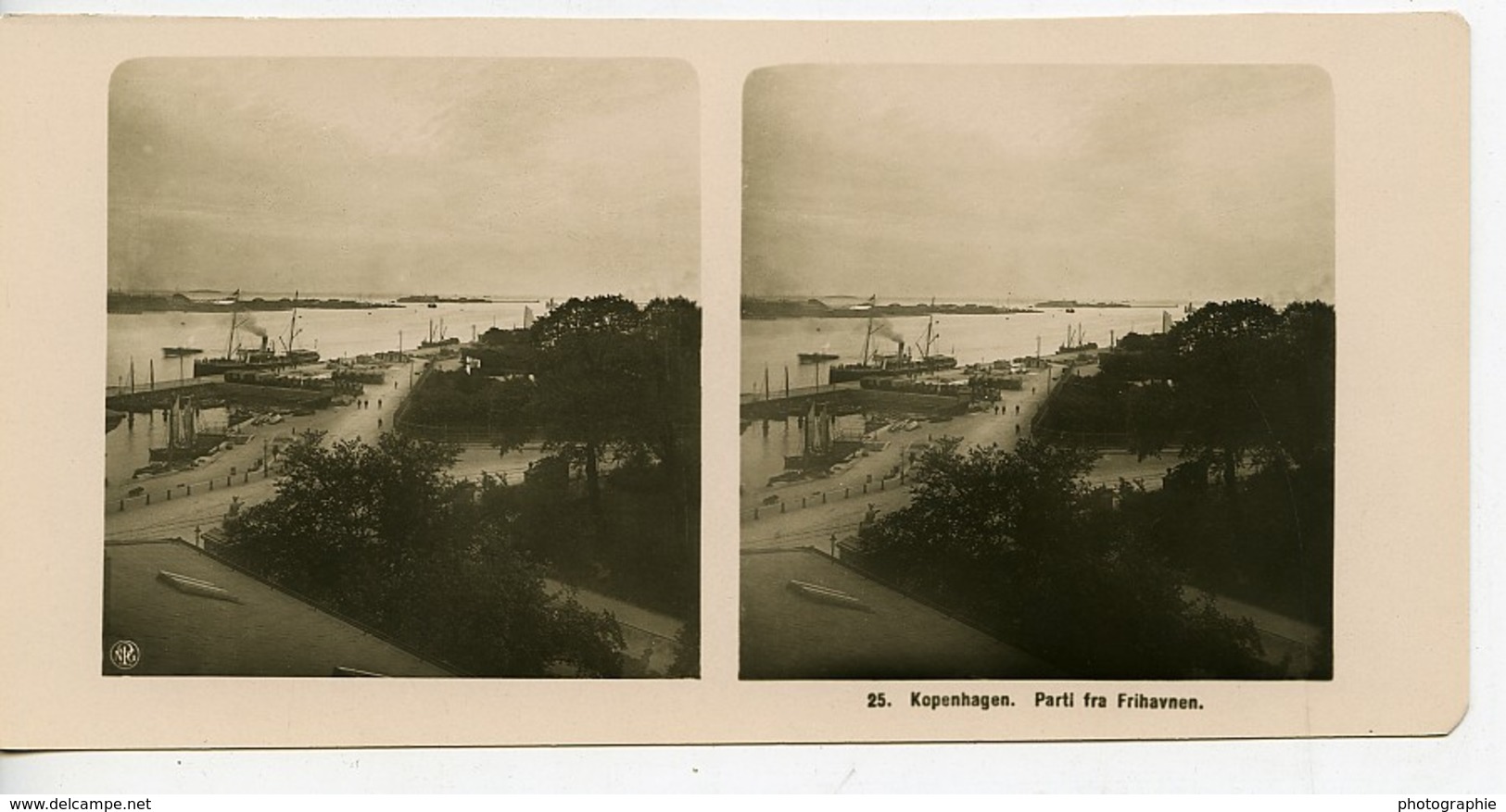 Danemark Copenhague Frihavnen Panorama Ancienne Photo Stereo NPG 1900 - Photos Stéréoscopiques