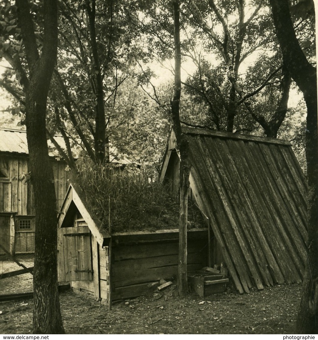 Suéde Göteborg Slottsskogen Cabanes Ancienne Photo Stereo NPG 1900 - Photos Stéréoscopiques