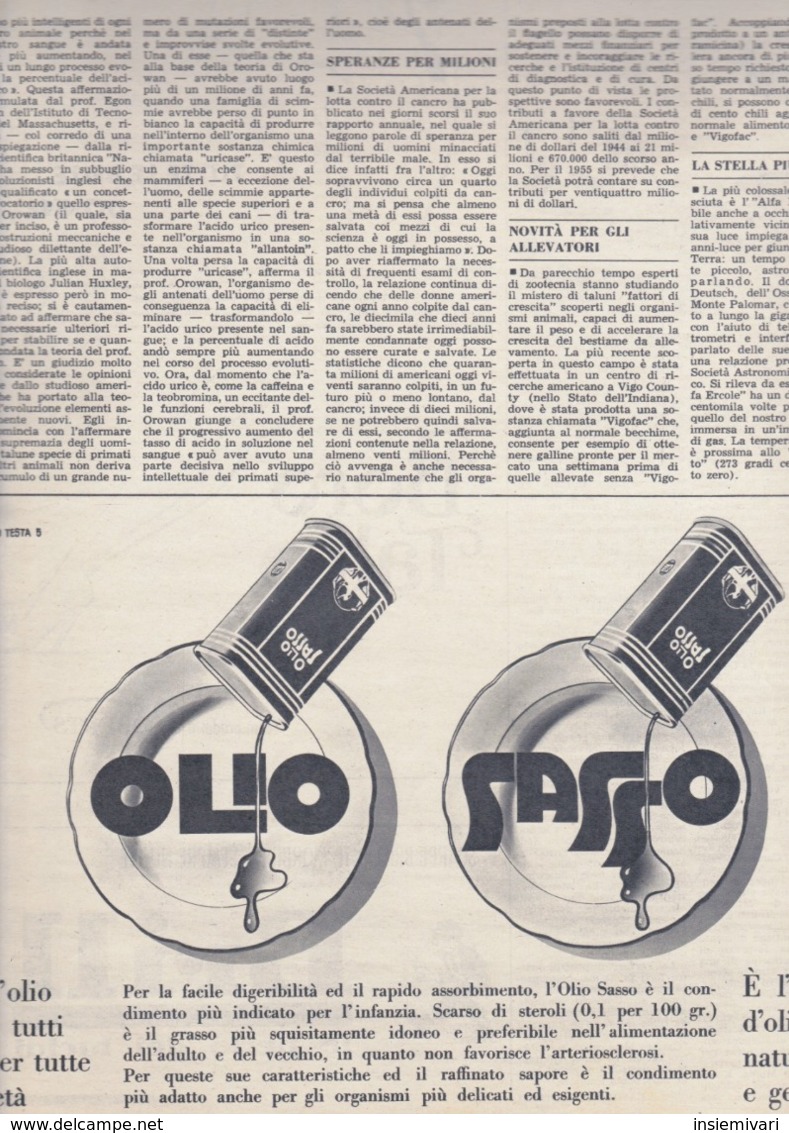 (pagine-pages)PUBBLICITA' OLIO SASSO   Tempo1955/18. - Altri & Non Classificati