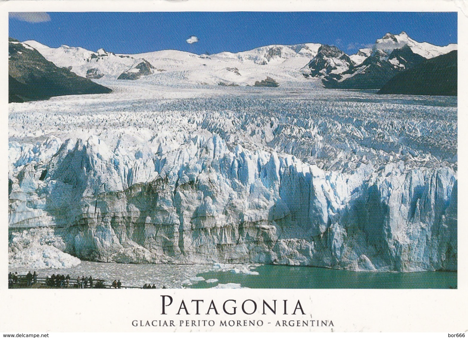 GOOD ARGENTINA Postcard To SWITZERLAND 2008 - Patagonia - Covers & Documents