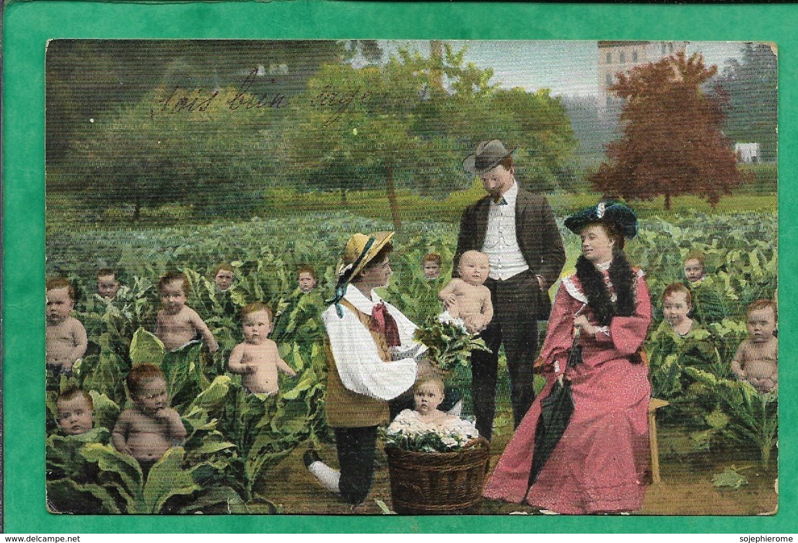 Couple Bourgeois Qui Choisit Leur Petit Garçon Bébés Dans Des Choux Un Chou 2scans 29-04-1905 Dos Simple - Cartes Humoristiques