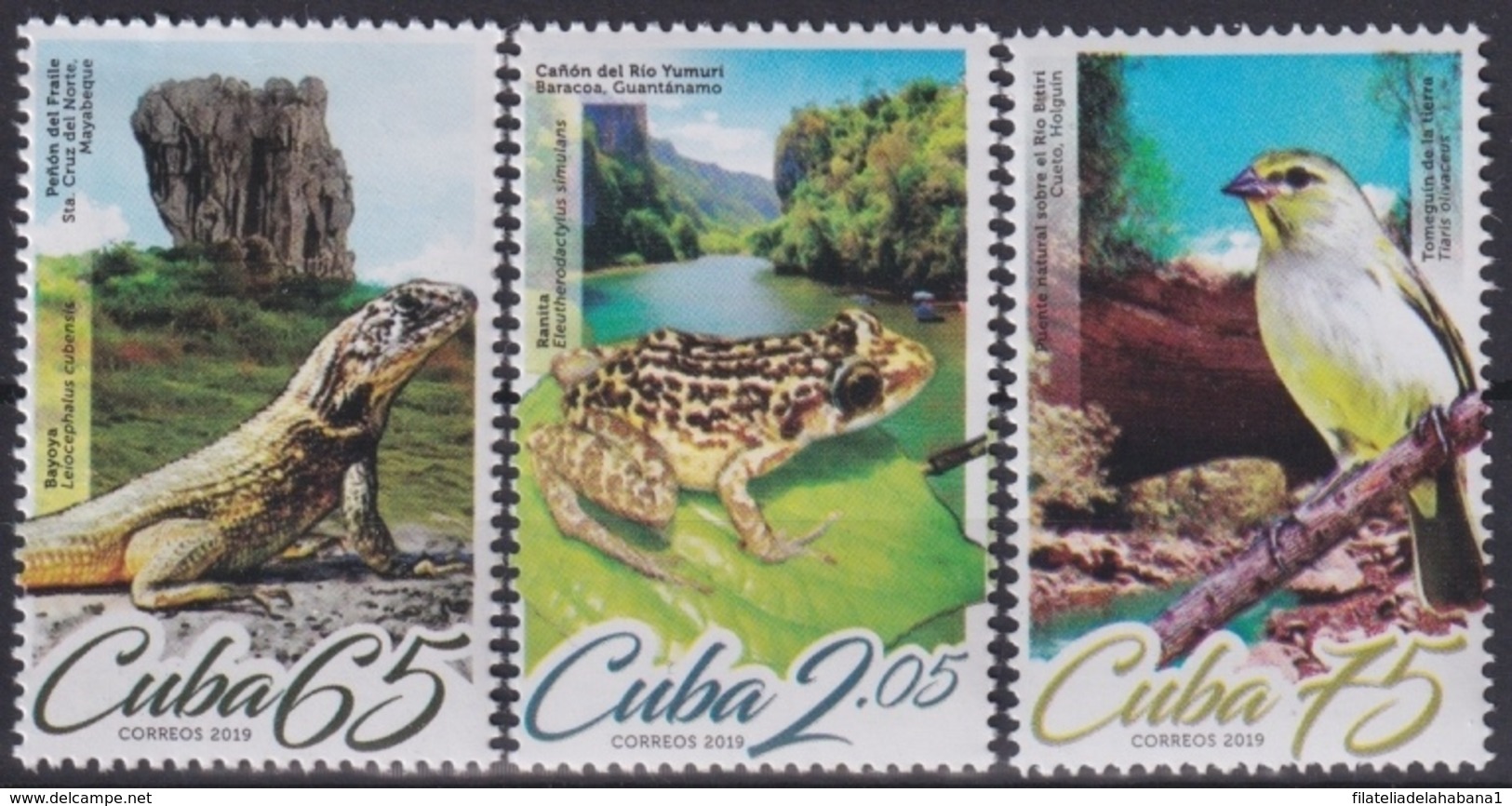 2019.61 CUBA 2019 MNH GEOGRAFIA Y AVES BIRD TOMEGUIN LIZARD FROG RANA BAYOYA IGUANA. - Ongebruikt