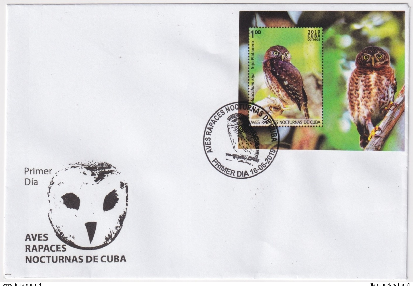 2019-FDC-29 CUBA 2019 FDC GEOGRAFIA Y AVES BIRD TOMEGUIN LIZARD FROG RANA BAYOYA IGUANA. - FDC