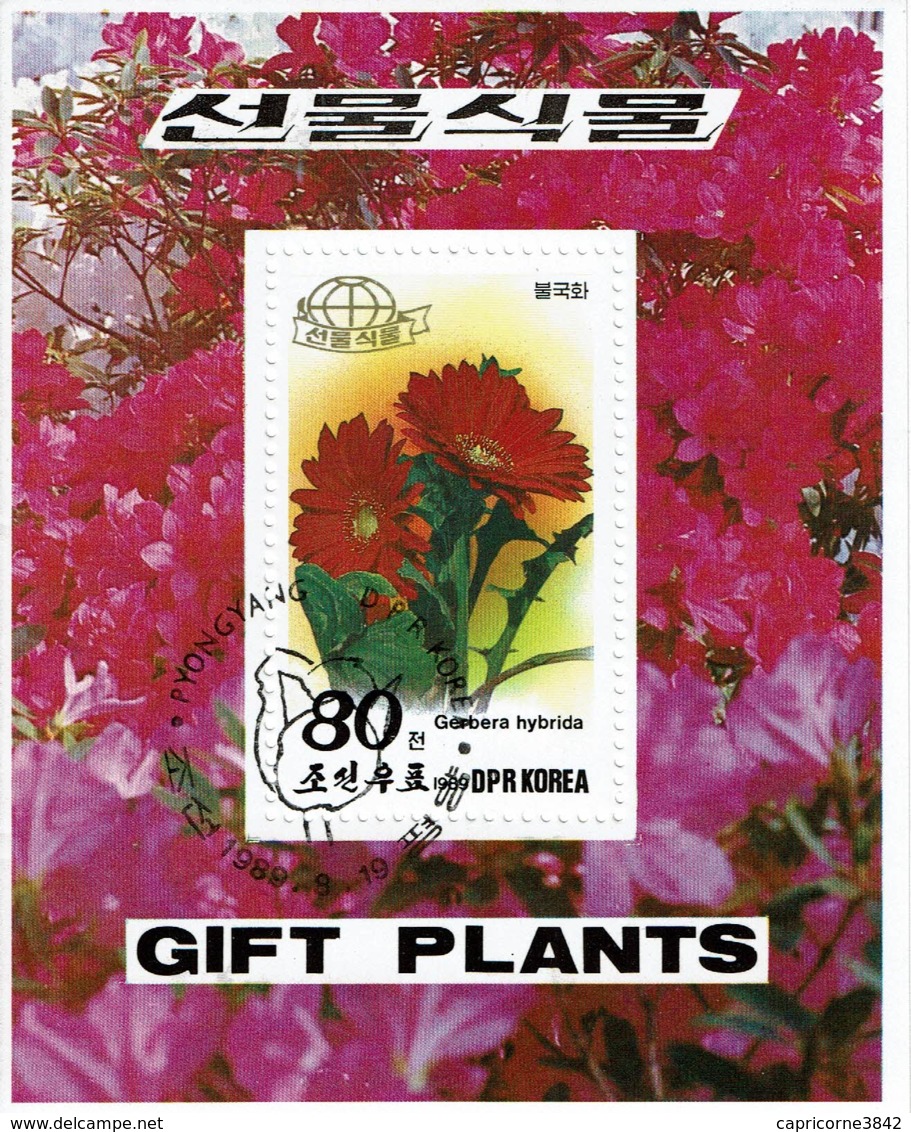 COREE DU NORD - 1989 - Fleurs "Berbera Hybrida" - Oblitération Pyongyang - Corea Del Nord