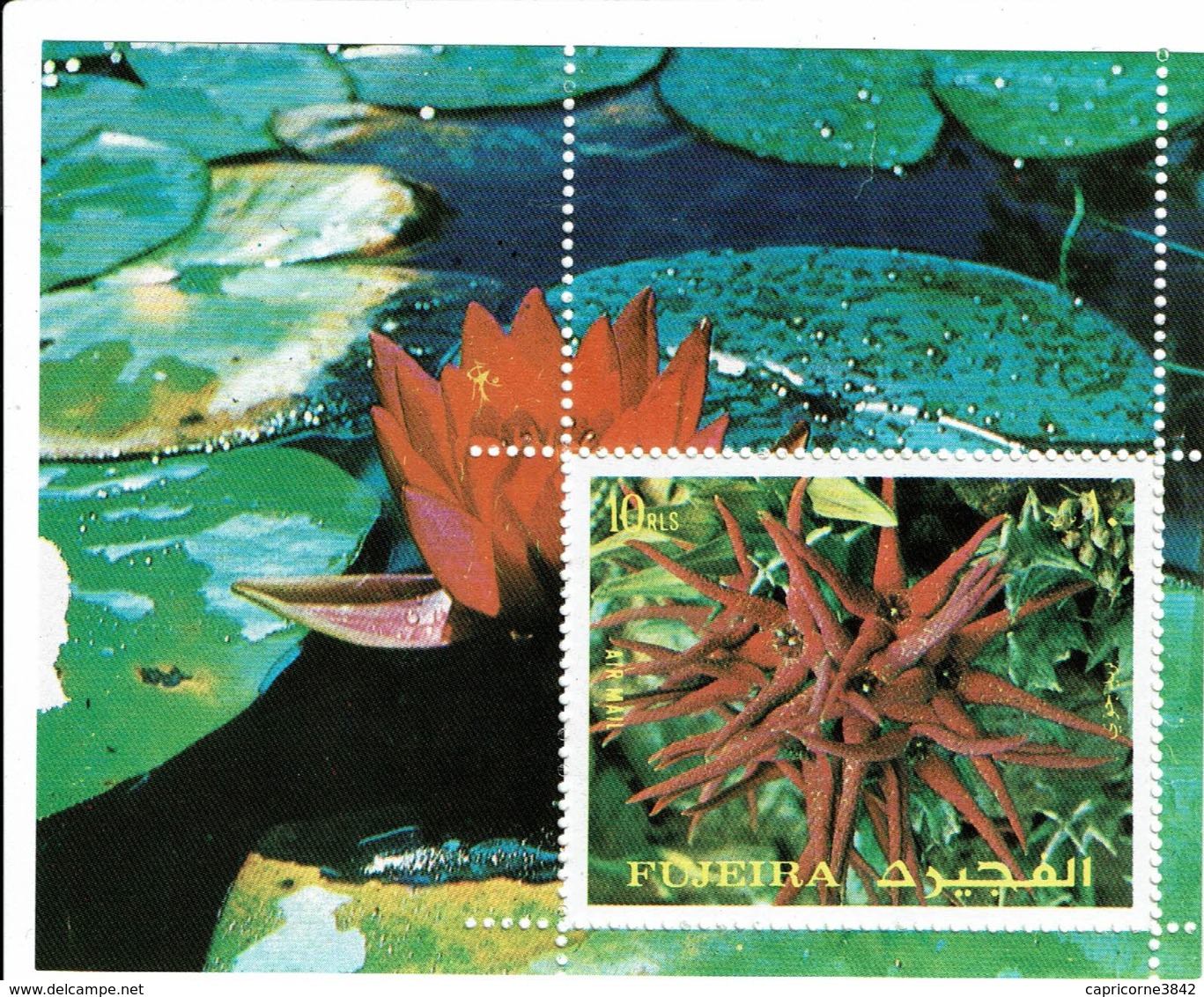 FUJEIRA - 1972 - Plante Aquatique - Bloc N° 135 - Fudschaira