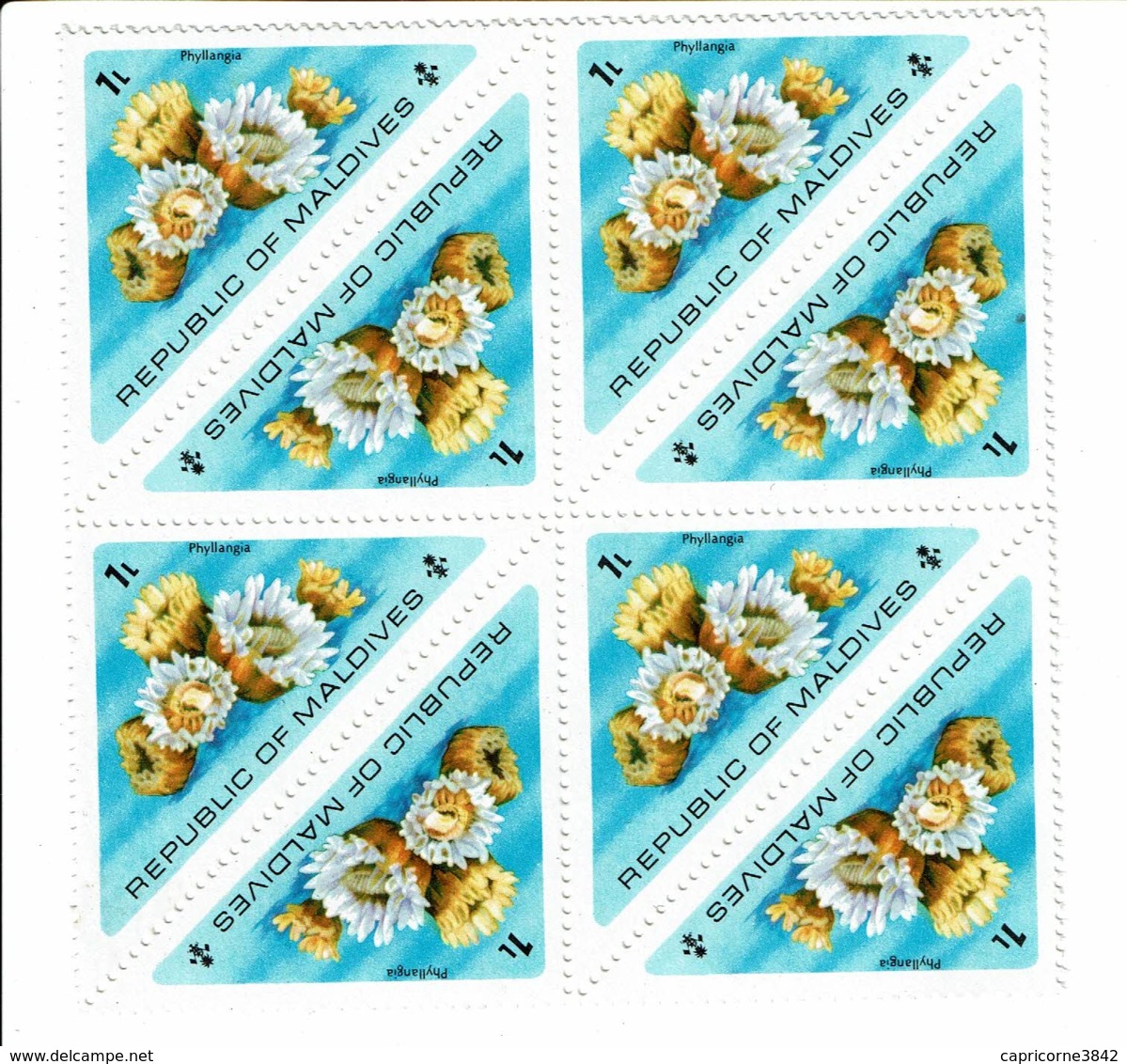 MALDIVES - 1975 - Faune Et Flore Marine - Corail PHYLLANGIA - Bloc De 8 Timbres N° 533 - Maldivas (1965-...)