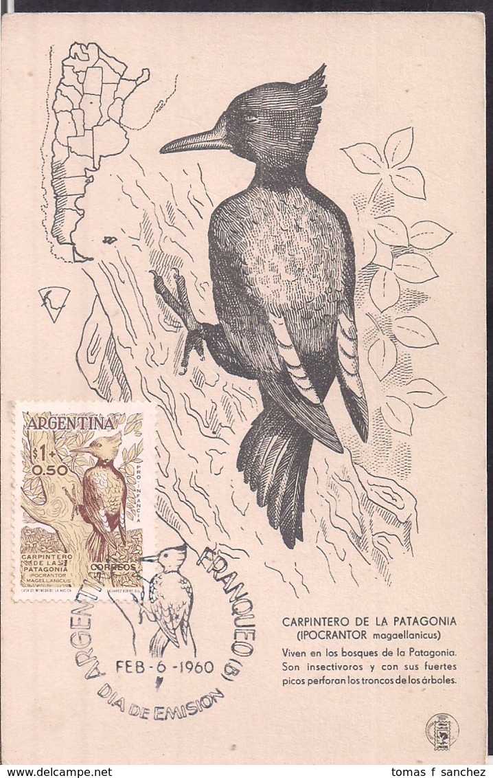 Argentina - 1961 - Carte Maximum - Oiseaux D'Argentine - Pic De Patagonie - Autres & Non Classés