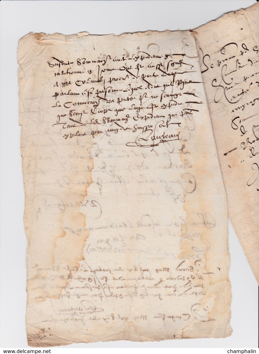 Document Du ?? Mai 1614 - M. Berguier à Châteaurenard (13) - Parchemin - Manuscrit - Manuscrits