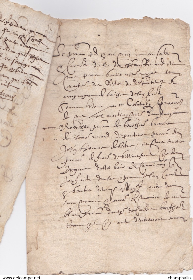 Document Du ?? Mai 1614 - M. Berguier à Châteaurenard (13) - Parchemin - Manuscrit - Manuscrits