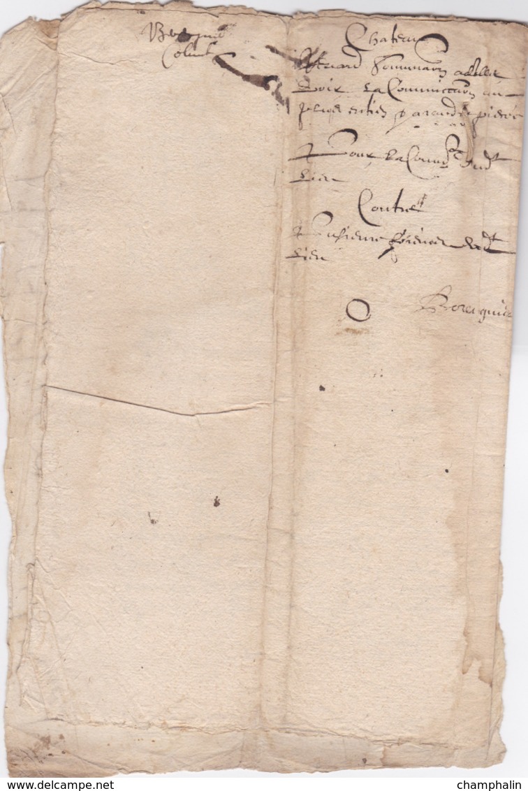 Document Du ?? Mai 1614 - M. Berguier à Châteaurenard (13) - Parchemin - Manuscrit - Manuscrits