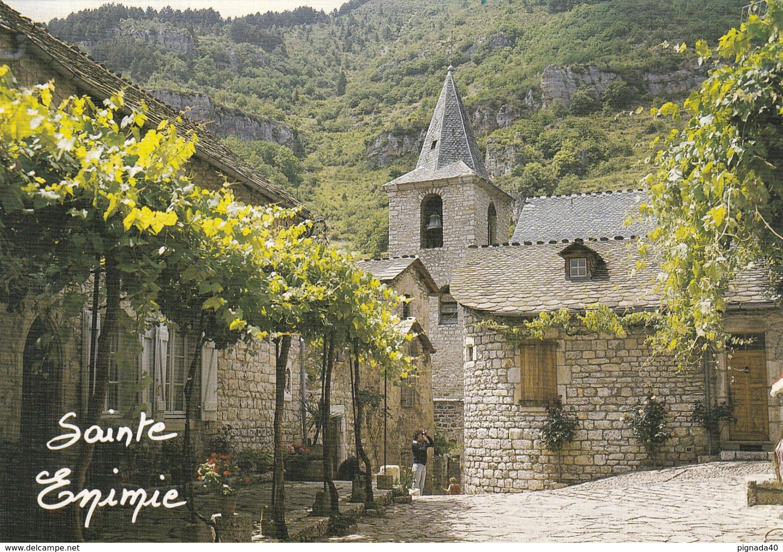 Cp , 48 , LES GORGES DU TARN , SAINTE-ÉNIMIE , Cité Médiévale Construite En Surplomb Du Tarn - Gorges Du Tarn