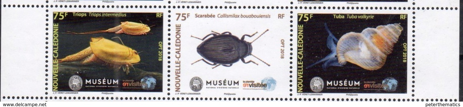 NEW CALEDONIA, 2018, MNH, NATURAL HISTORY MUSEUM, INSECTS, BEETLES, MARINE LIFE, TRIOPS, SHELLS, 3v - Mundo Aquatico