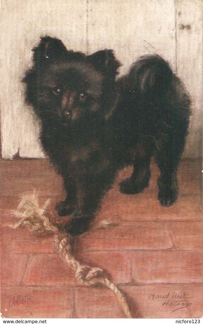 "Maud West Watson. Pet Dogs. Pomeranian Puppy" Tuck Oilette PC # 9889 - Tuck, Raphael