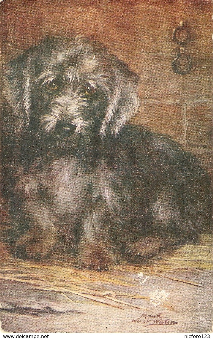 "Maud West Watson. Pet Dogs. Dandy Dinmont  Terrier" Tuck Oilette PC # 9889 - Tuck, Raphael