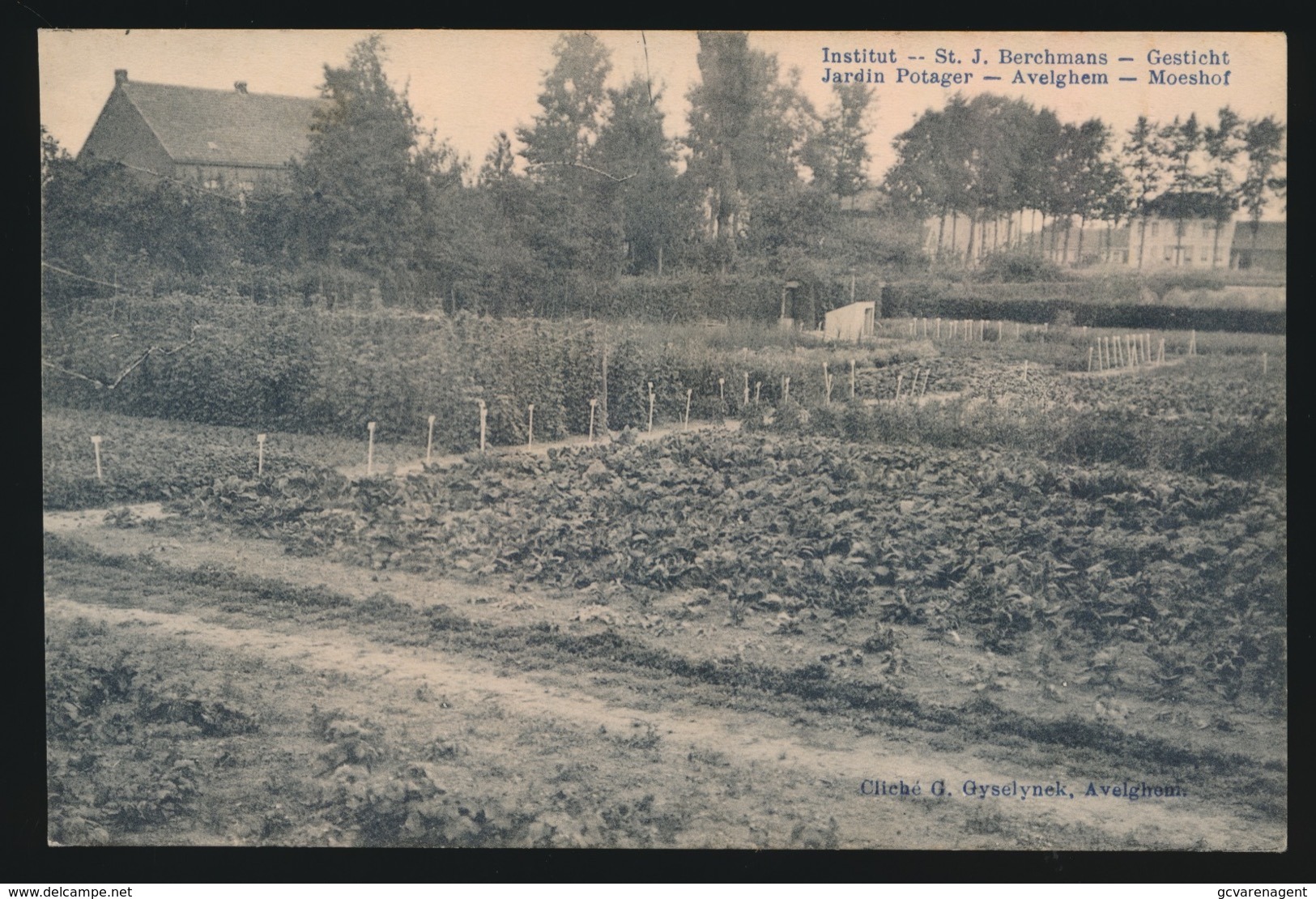 AVELGEM   ==  ST.JAN BERCHMANS GESTICHT  JARDIN POTAGER  MOESHOF - Avelgem