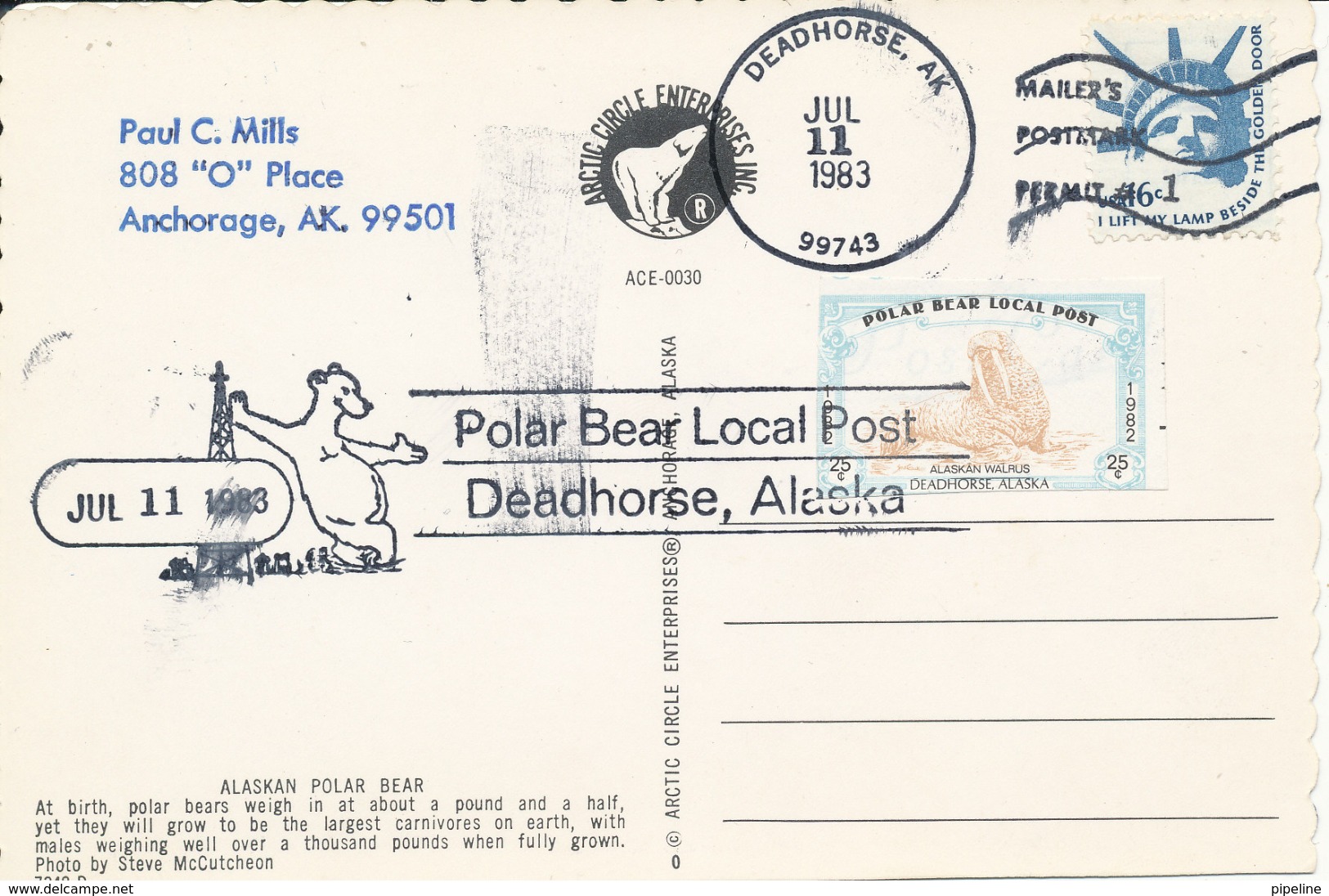 USA Postcard Polar Bear Local Post Deadhorse Alaska 11-7-1983 - Other & Unclassified