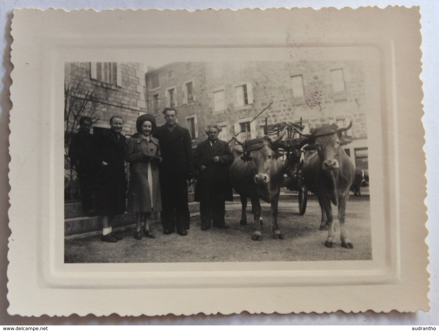 à Identifier Photographie Originale Attelage De Boeufs Personnages 29 Mars 1940 - Lieux