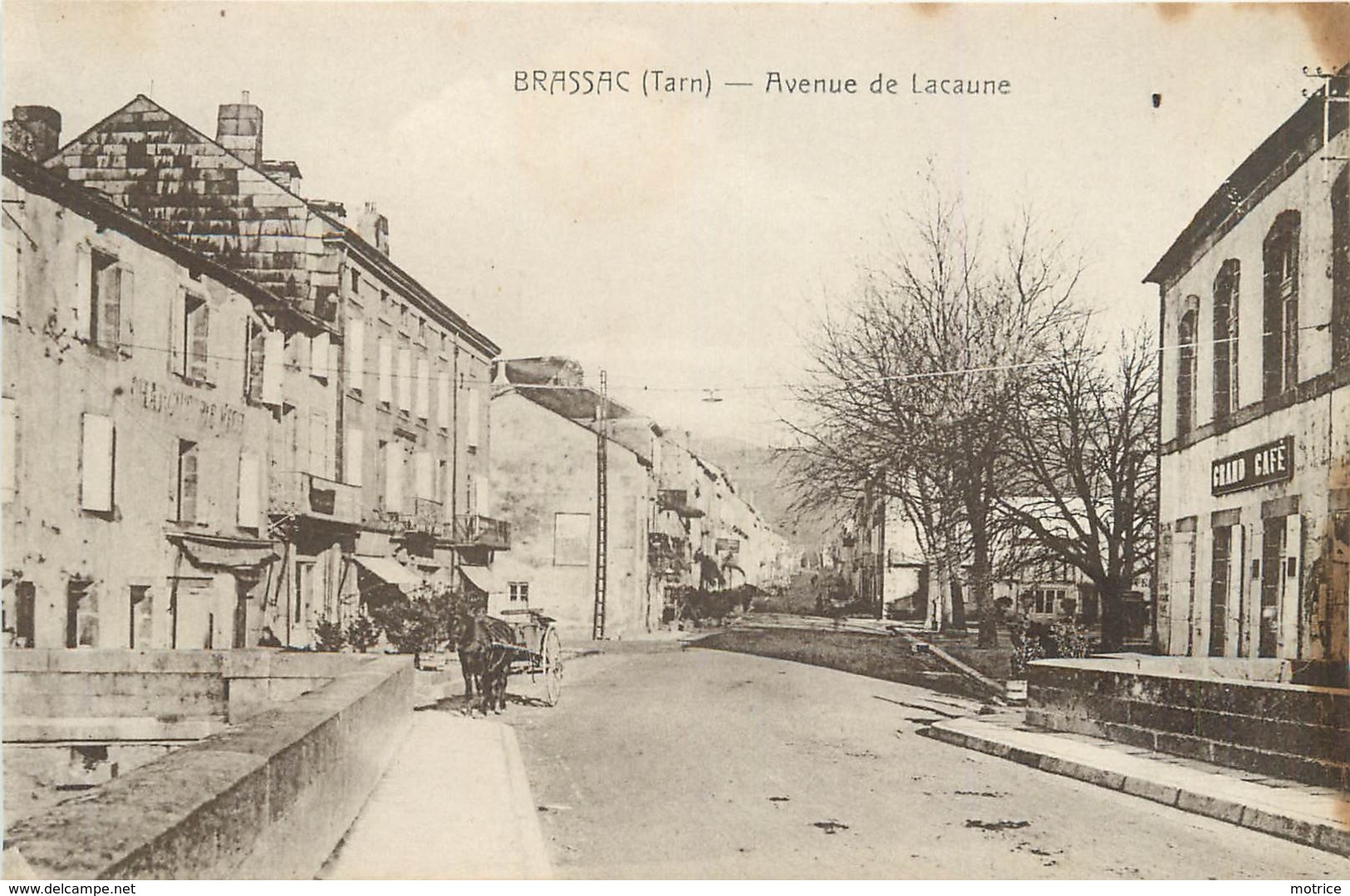 BRASSAC - Avenue De Lacaune. - Brassac