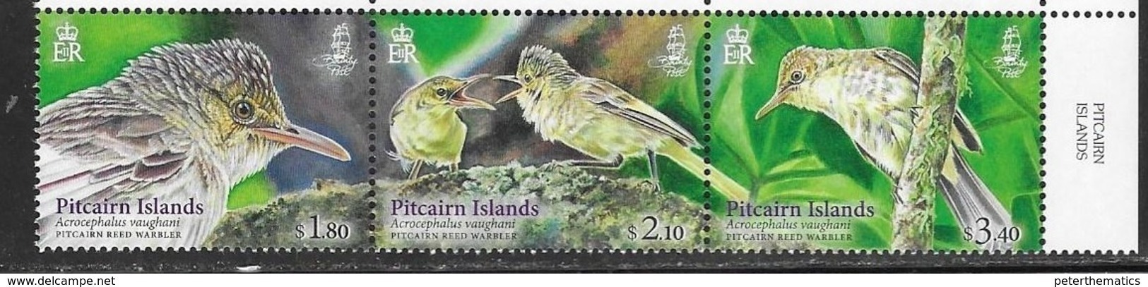 PITCAIRN ISLAND, 2019, MNH, BIRDS, WARBLERS, 3v - Andere & Zonder Classificatie