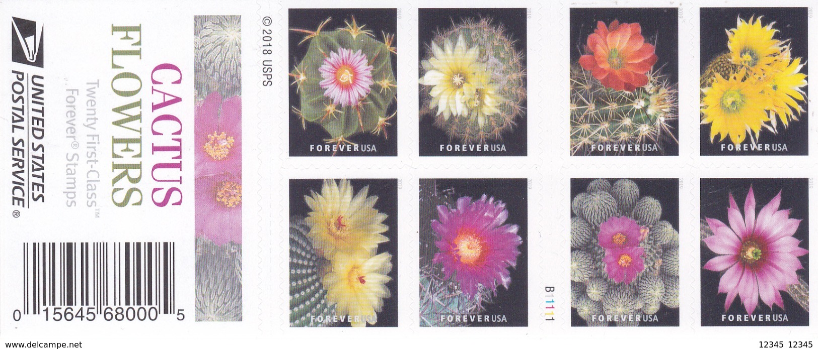 Amerika 2018, Postfris MNH, Flowers, Cacti - 1981-...