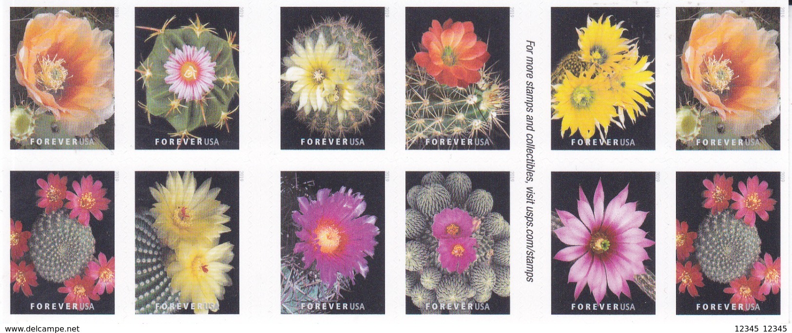 Amerika 2018, Postfris MNH, Flowers, Cacti - 1981-...