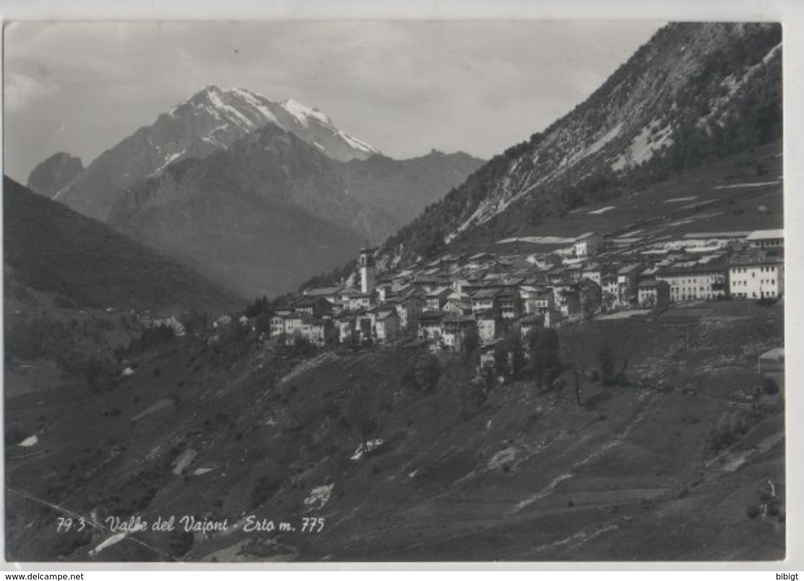 ERTO (VAJONT) PORDENONE VG 1973 TRIESTE - Pordenone