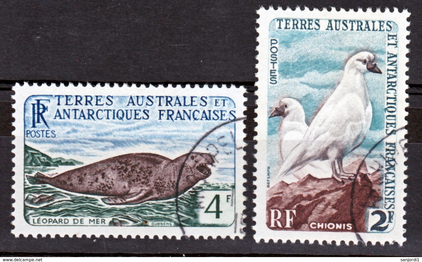 TAAF 13A, 13B Léopard Chionis Oblitéré Used Cote 13 - Used Stamps