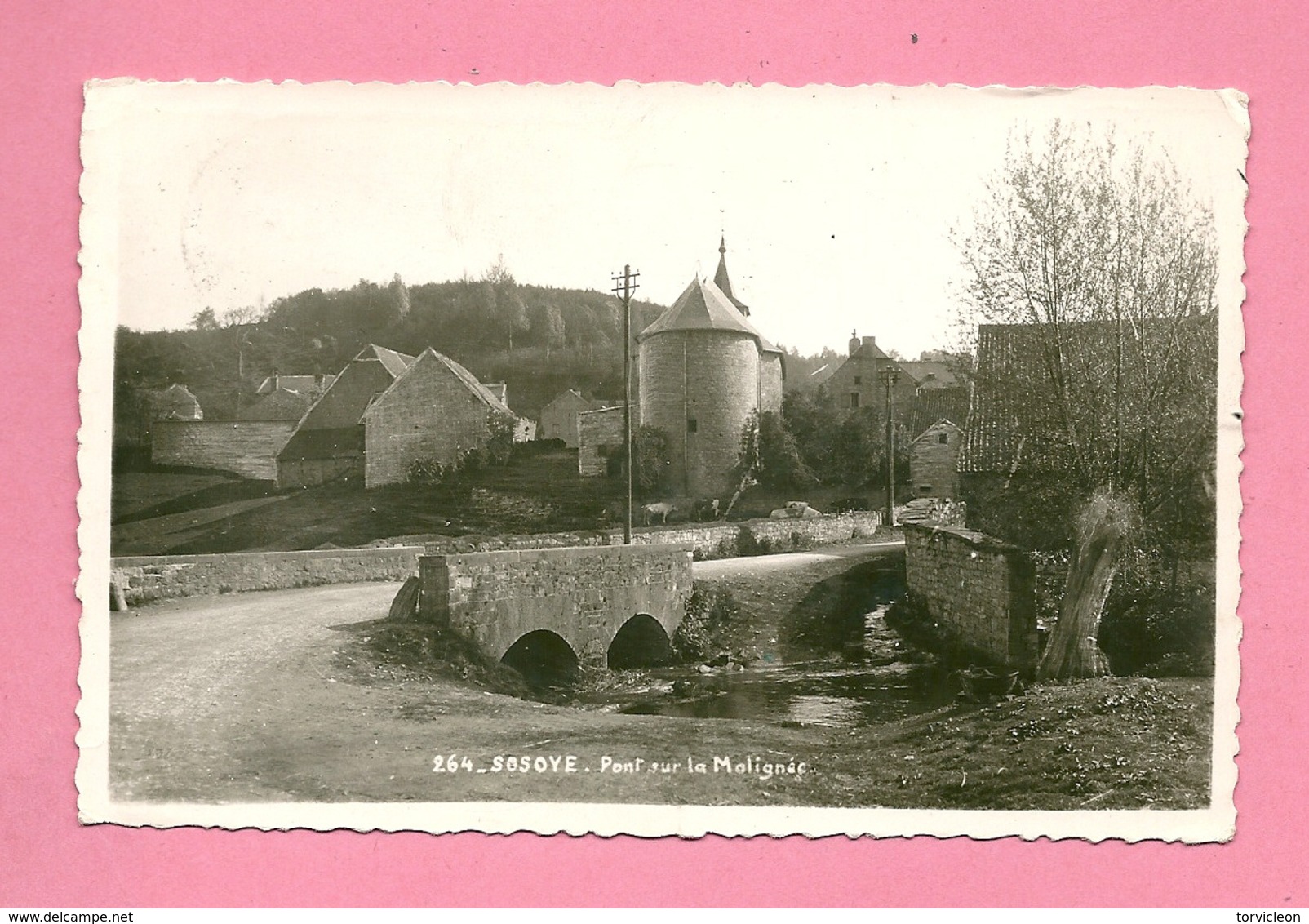 C.P. Sosoye = Pont  Sur  La Molignée - Anhee