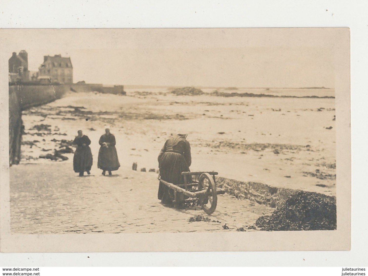 29 CROSCOFF CARTE PHOTO CPA BON ETAT - Roscoff