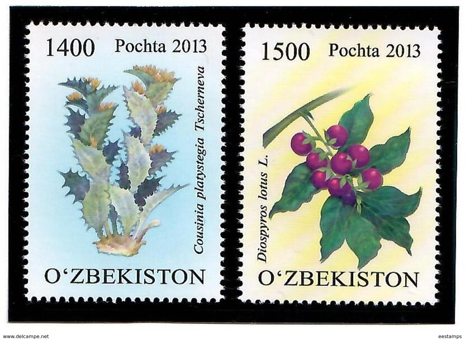 Uzbekistan 2013 .  Flora. Rare Plants. 2v: 1400, 1500   Michel # 1062-63 - Uzbekistán
