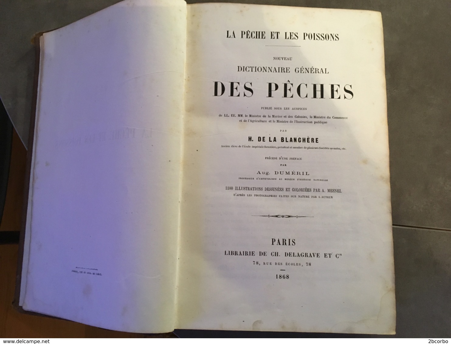 LA PECHE ET LES POISSONS H DE LA BLACHERE DICTIONNAIRE DES PECHES EDITION ORIGINALE DE 1868 - 1801-1900